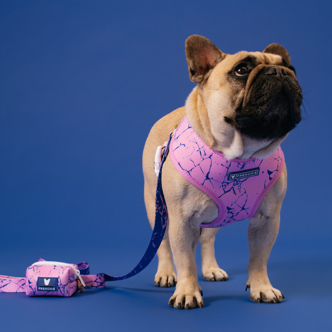 Frenchie Duo Reversible Harness - Pink Marble by Frenchie Bulldog
