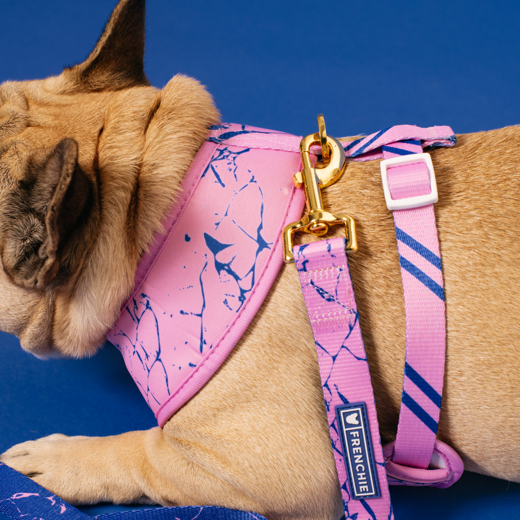Frenchie Duo Reversible Harness - Pink Marble by Frenchie Bulldog