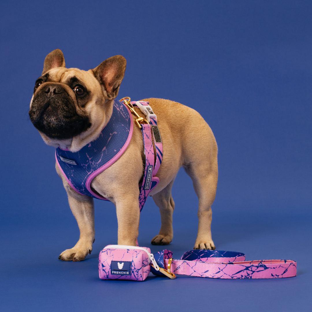 Frenchie Duo Reversible Harness - Pink Marble by Frenchie Bulldog
