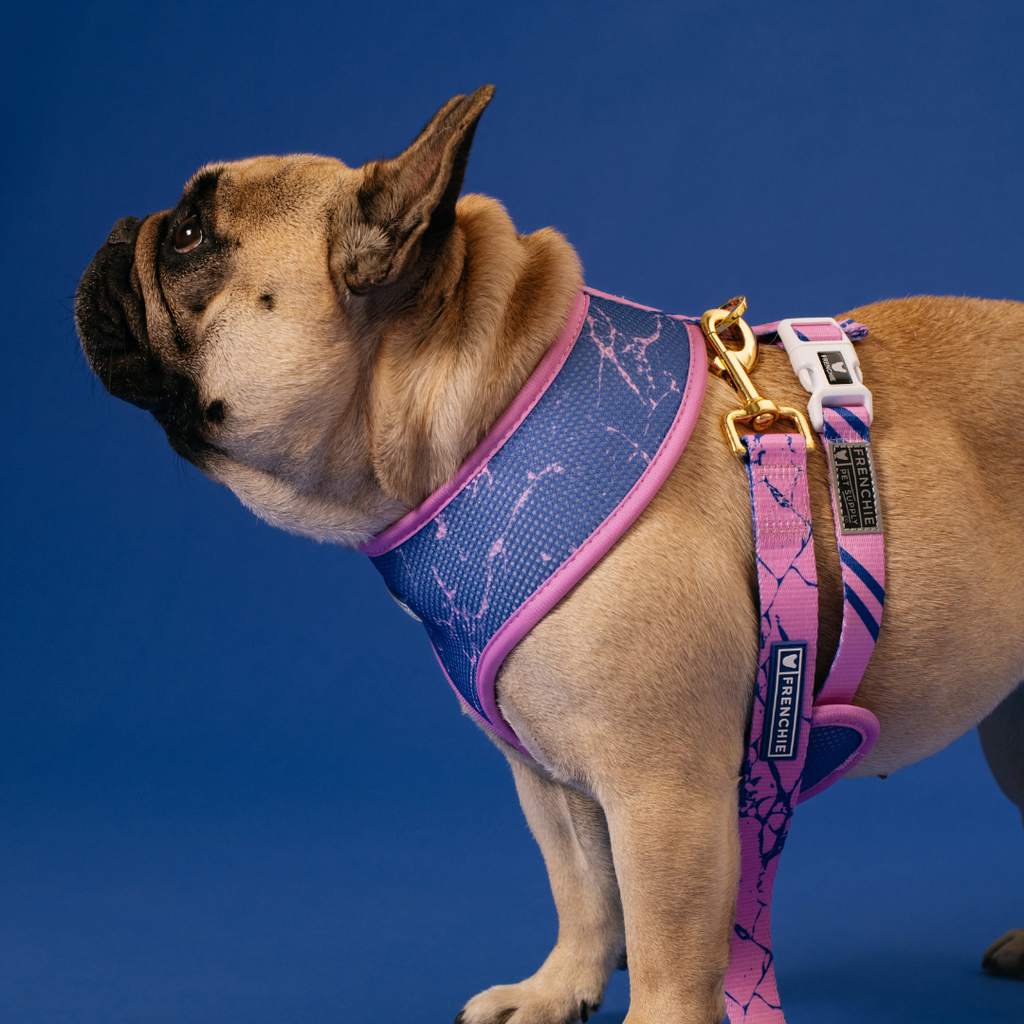 Frenchie Duo Reversible Harness - Pink Marble by Frenchie Bulldog