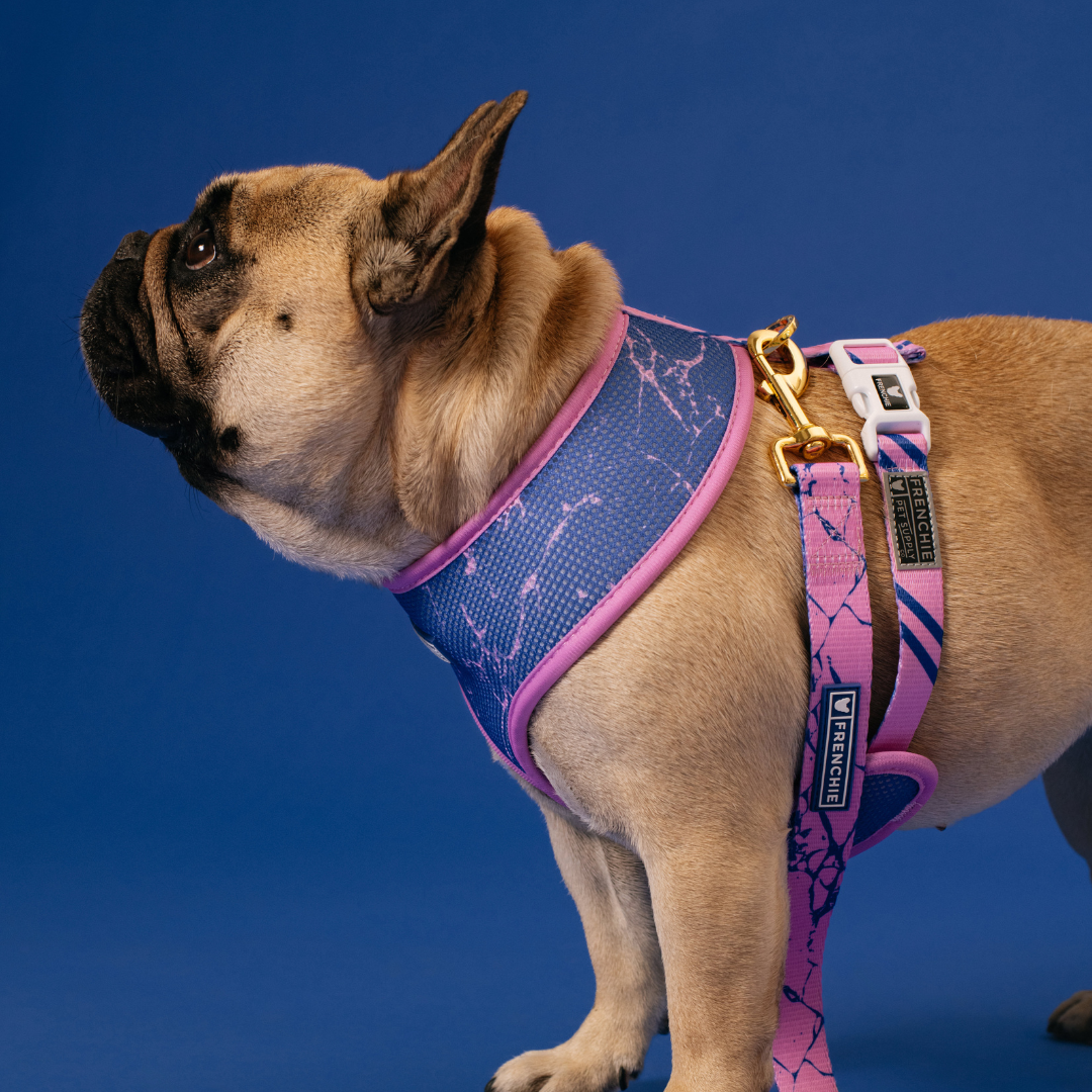 Frenchie Duo Reversible Harness - Pink Marble by Frenchie Bulldog