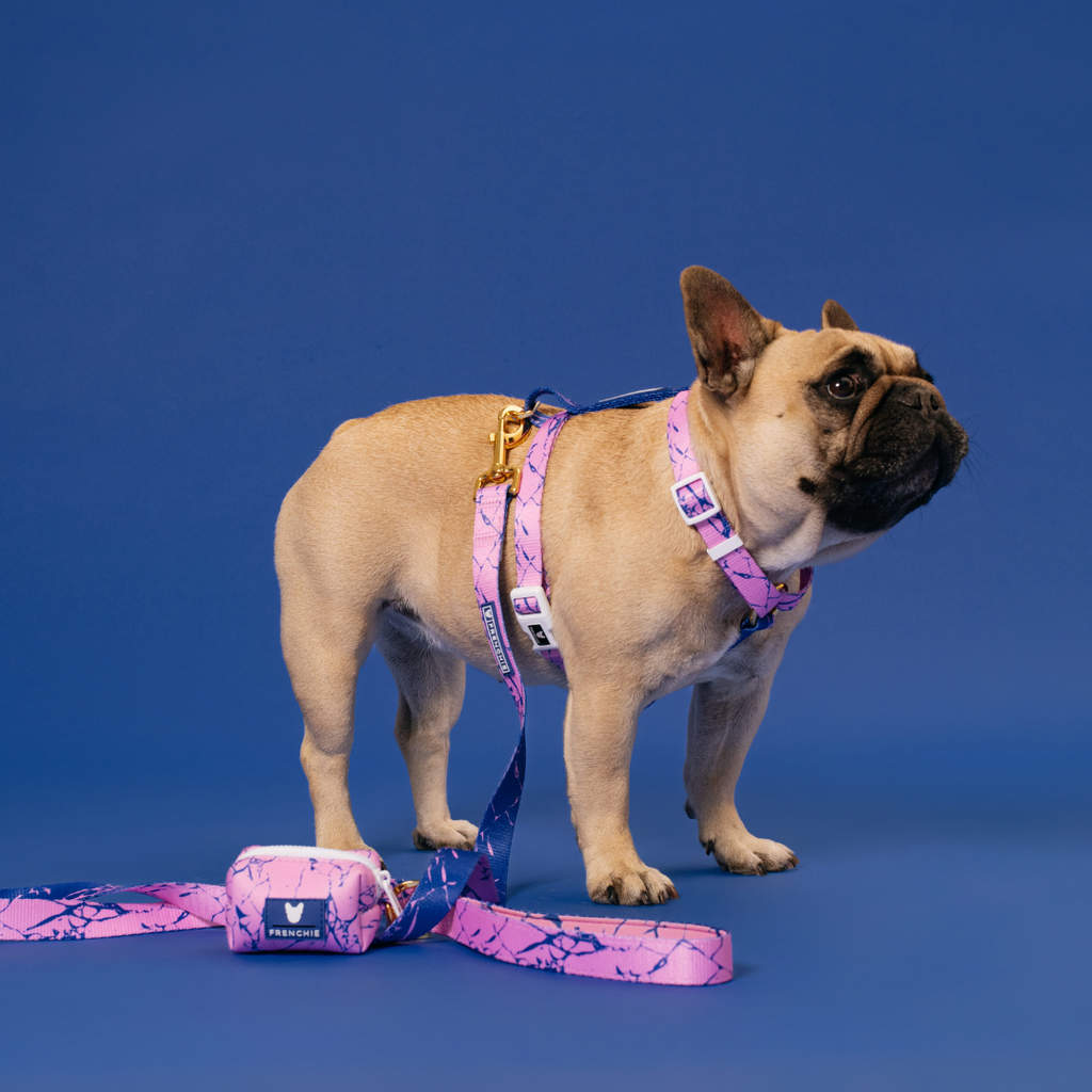 Frenchie Comfort Leash - Pink Marble by Frenchie Bulldog