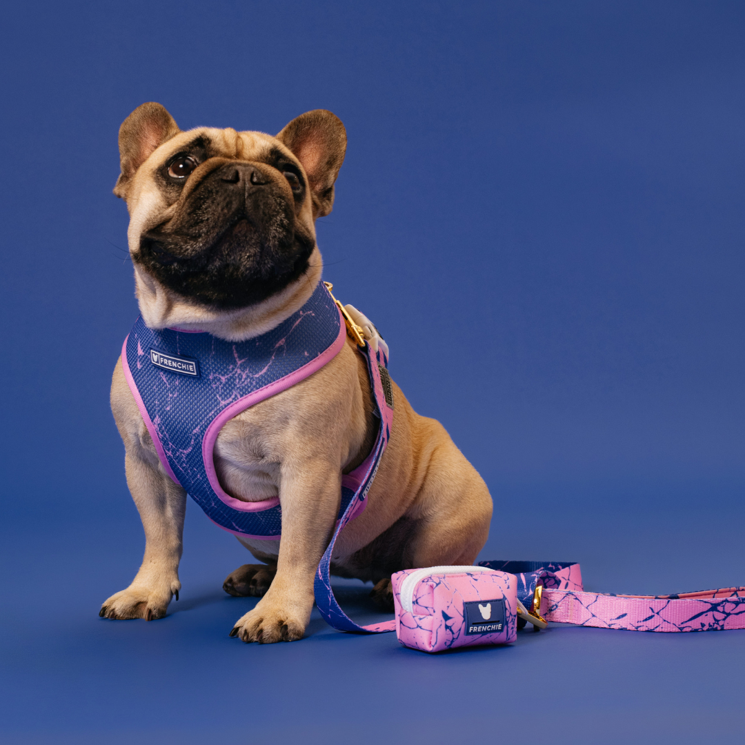 Frenchie Duo Reversible Harness - Pink Marble by Frenchie Bulldog