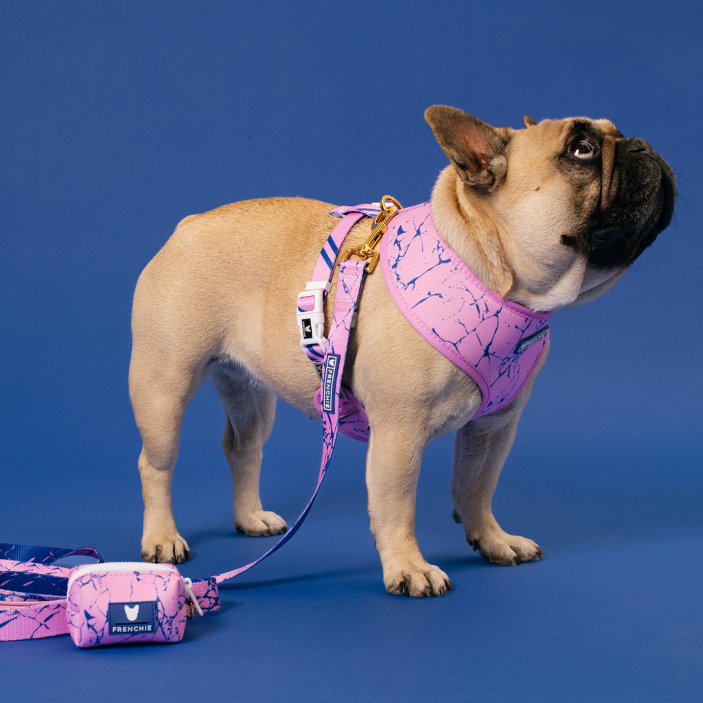 Frenchie Duo Reversible Harness - Pink Marble by Frenchie Bulldog