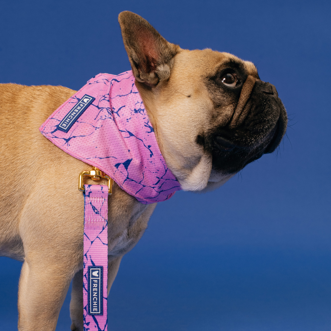 Frenchie Cooling Bandana - Pink Marble