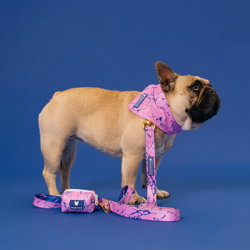 Frenchie Comfort Leash - Pink Marble by Frenchie Bulldog