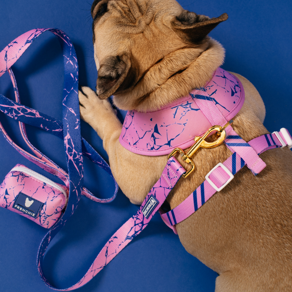 Frenchie Duo Reversible Harness - Pink Marble by Frenchie Bulldog