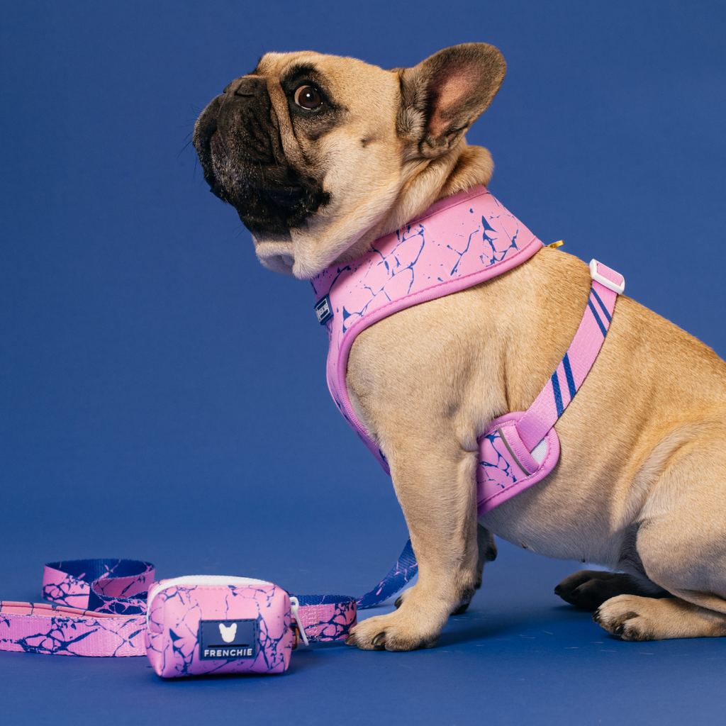Frenchie Duo Reversible Harness - Pink Marble by Frenchie Bulldog