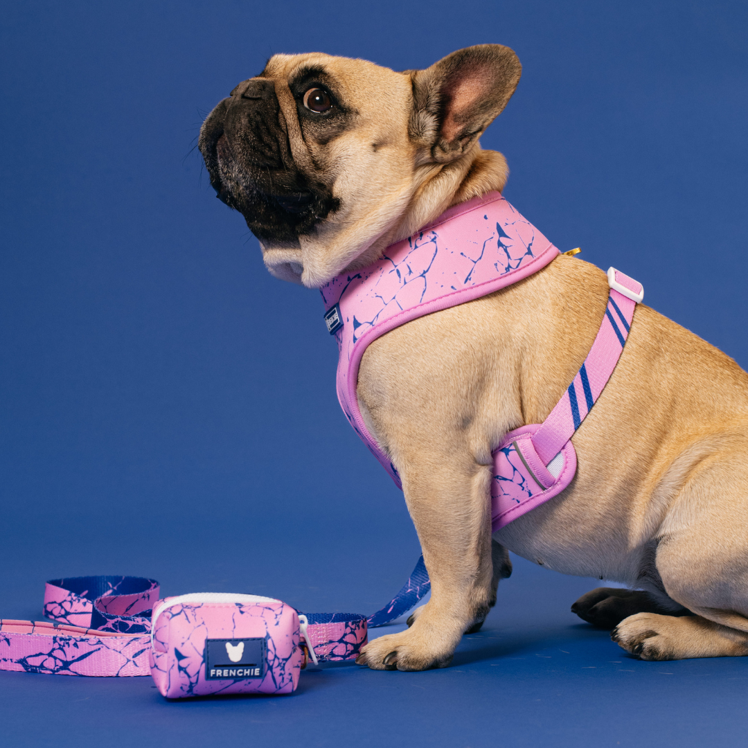 Frenchie Duo Reversible Harness - Pink Marble by Frenchie Bulldog