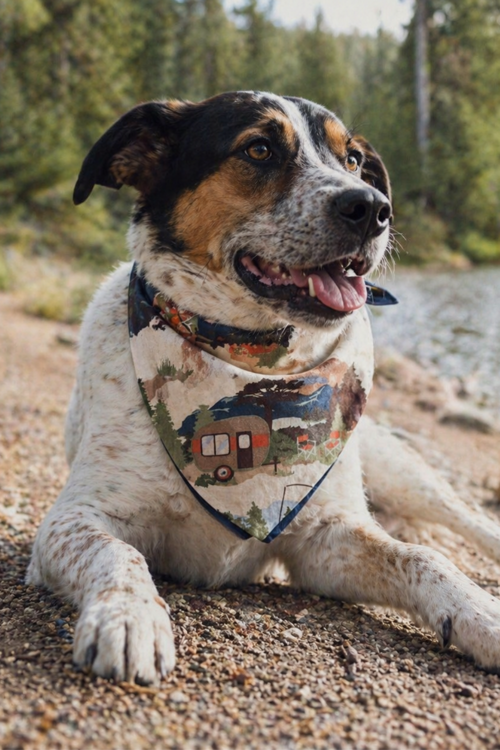 Camping Dog Bandana by Happy Tails Outfitters