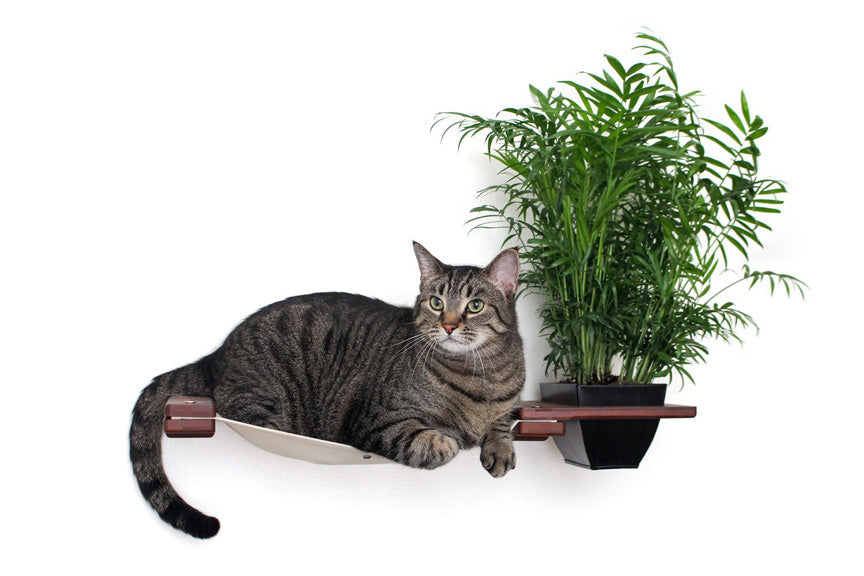 Cat Hammock Wall with Planter by Catastrophic Creations
