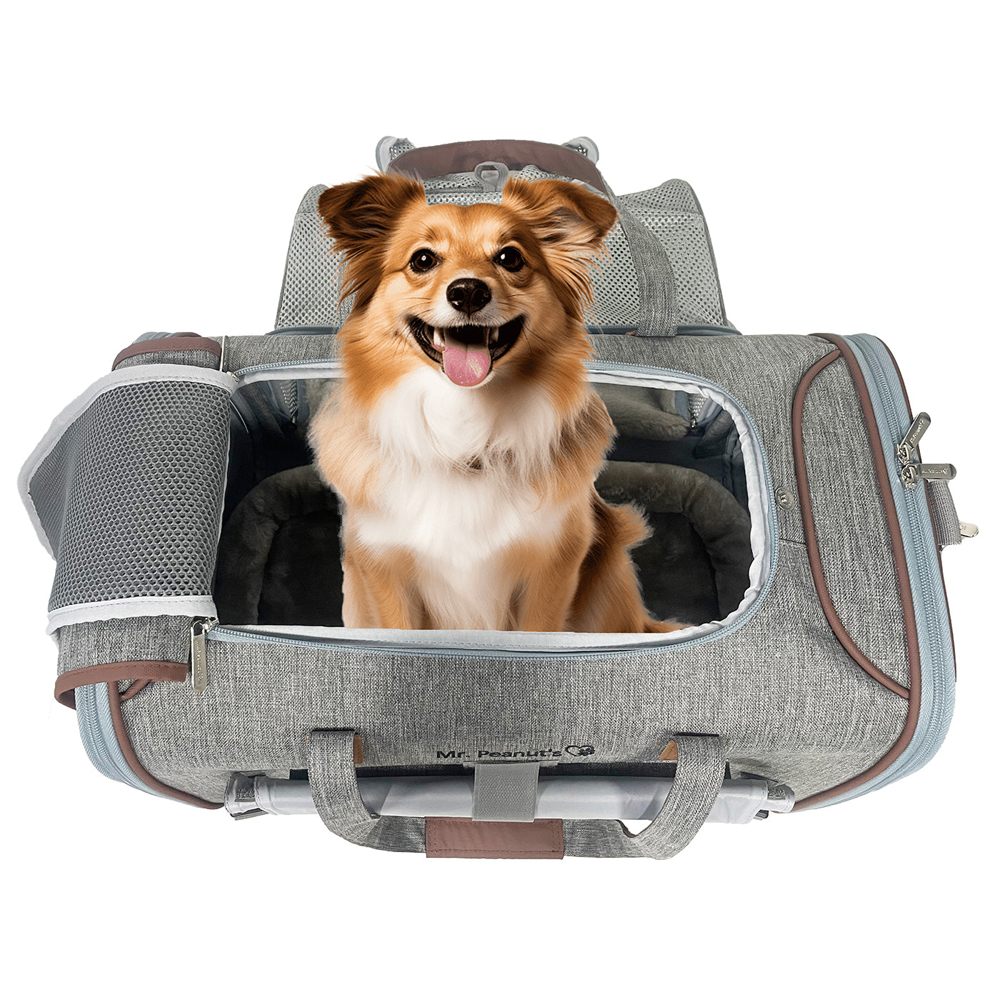 Mr. Peanut's Gold Series Standard Size Airline Compliant Expandable Pet Carrier V3.0 by Mr. Peanut's Pet Carriers