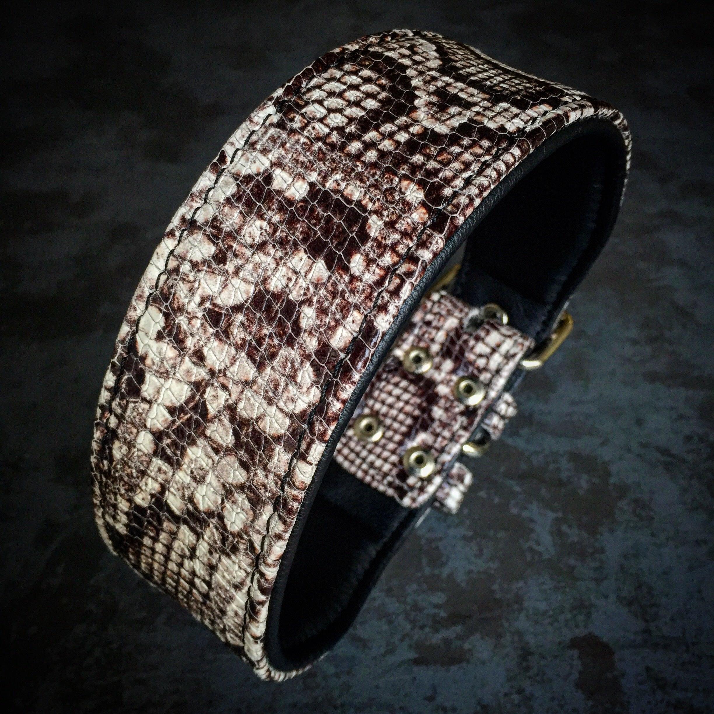 The ''Rock Python'' collar by Bestia Dog Gear