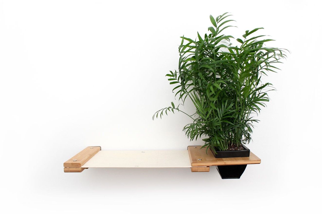 Cat Hammock Wall with Planter by Catastrophic Creations