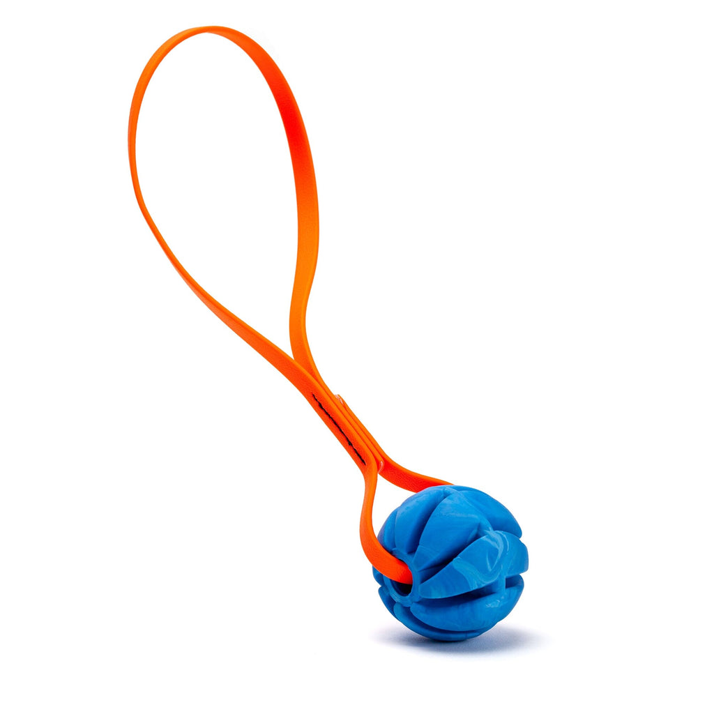 Rubber Spiral Ball with Biothane Handle by Dogline