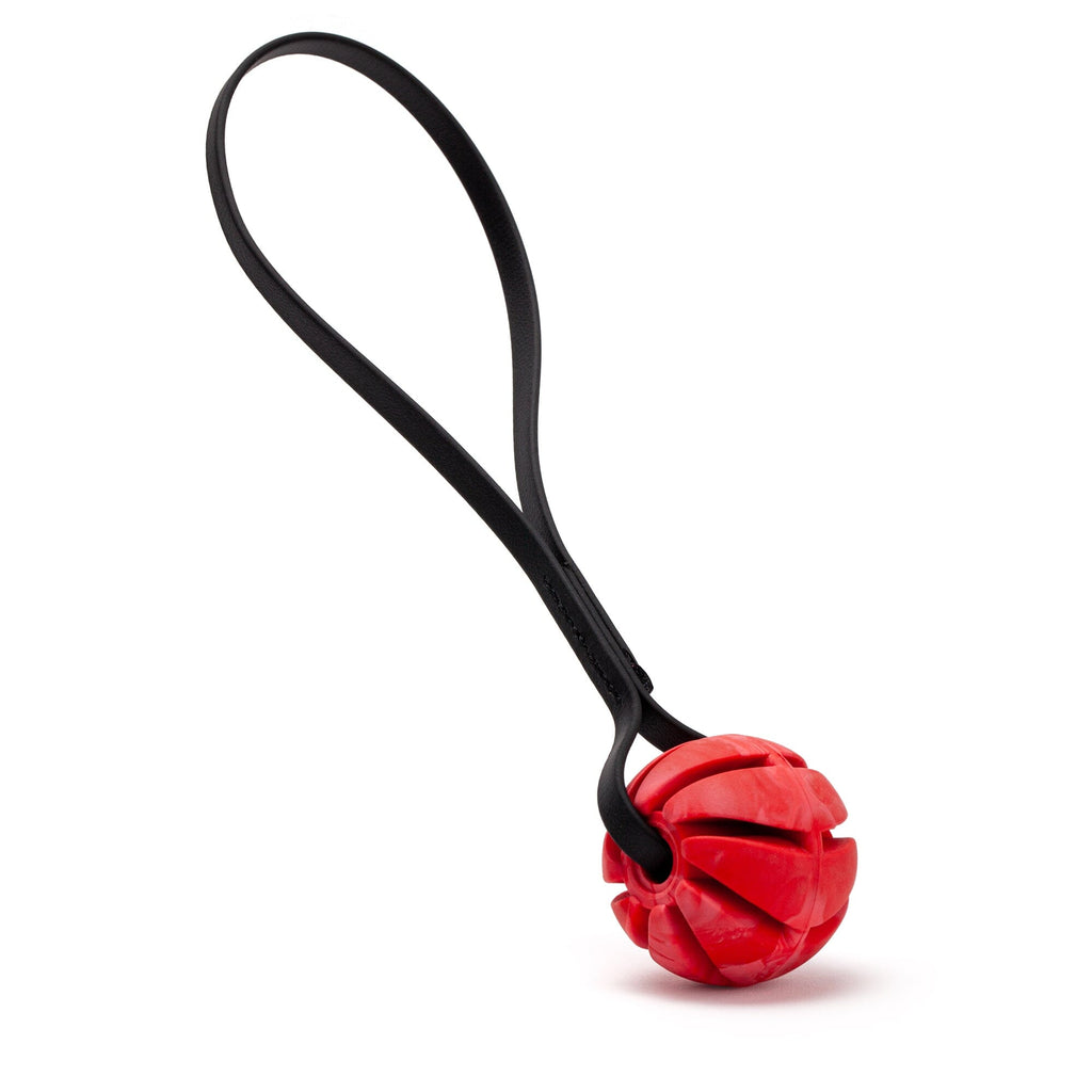 Rubber Spiral Ball with Biothane Handle by Dogline