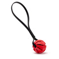 Rubber Spiral Ball with Biothane Handle by Dogline
