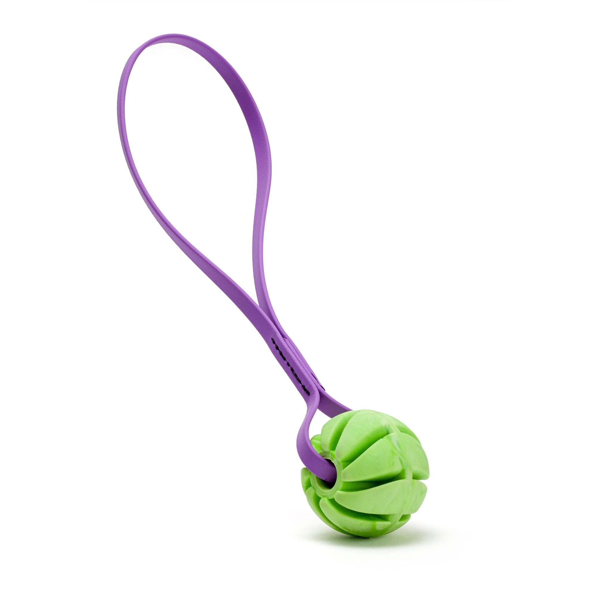 Rubber Spiral Ball with Biothane Handle by Dogline