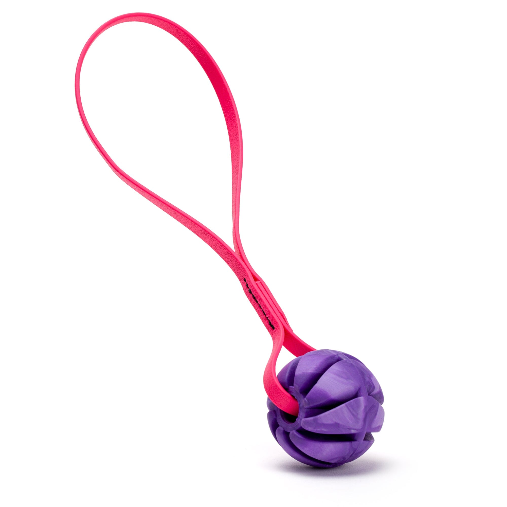 Rubber Spiral Ball with Biothane Handle by Dogline
