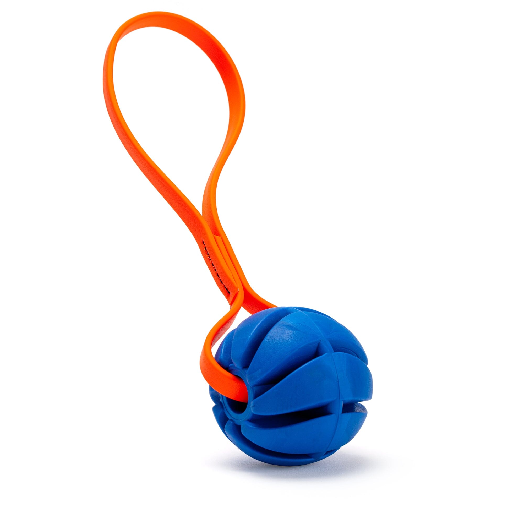 Rubber Spiral Ball with Biothane Handle by Dogline