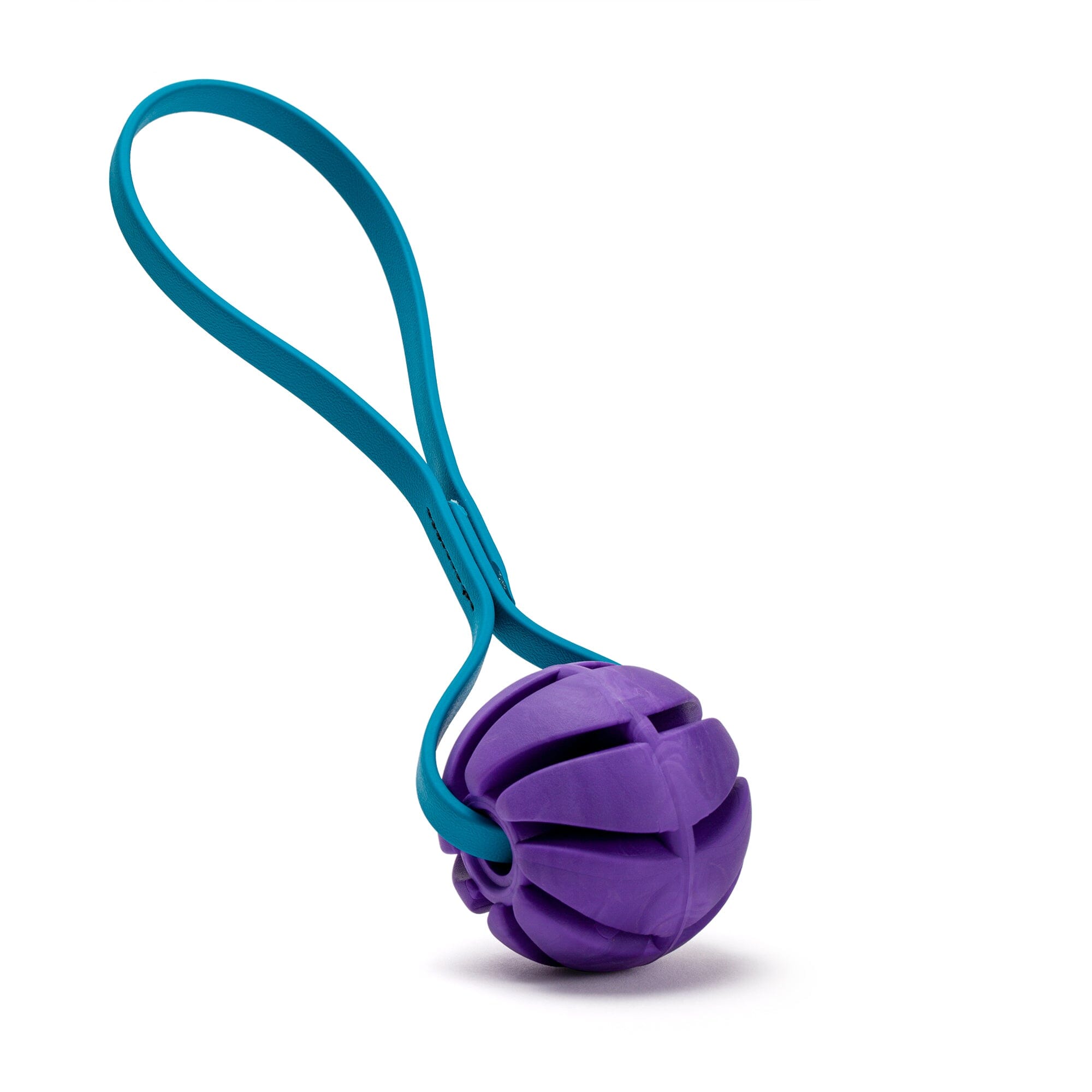 Rubber Spiral Ball with Biothane Handle by Dogline