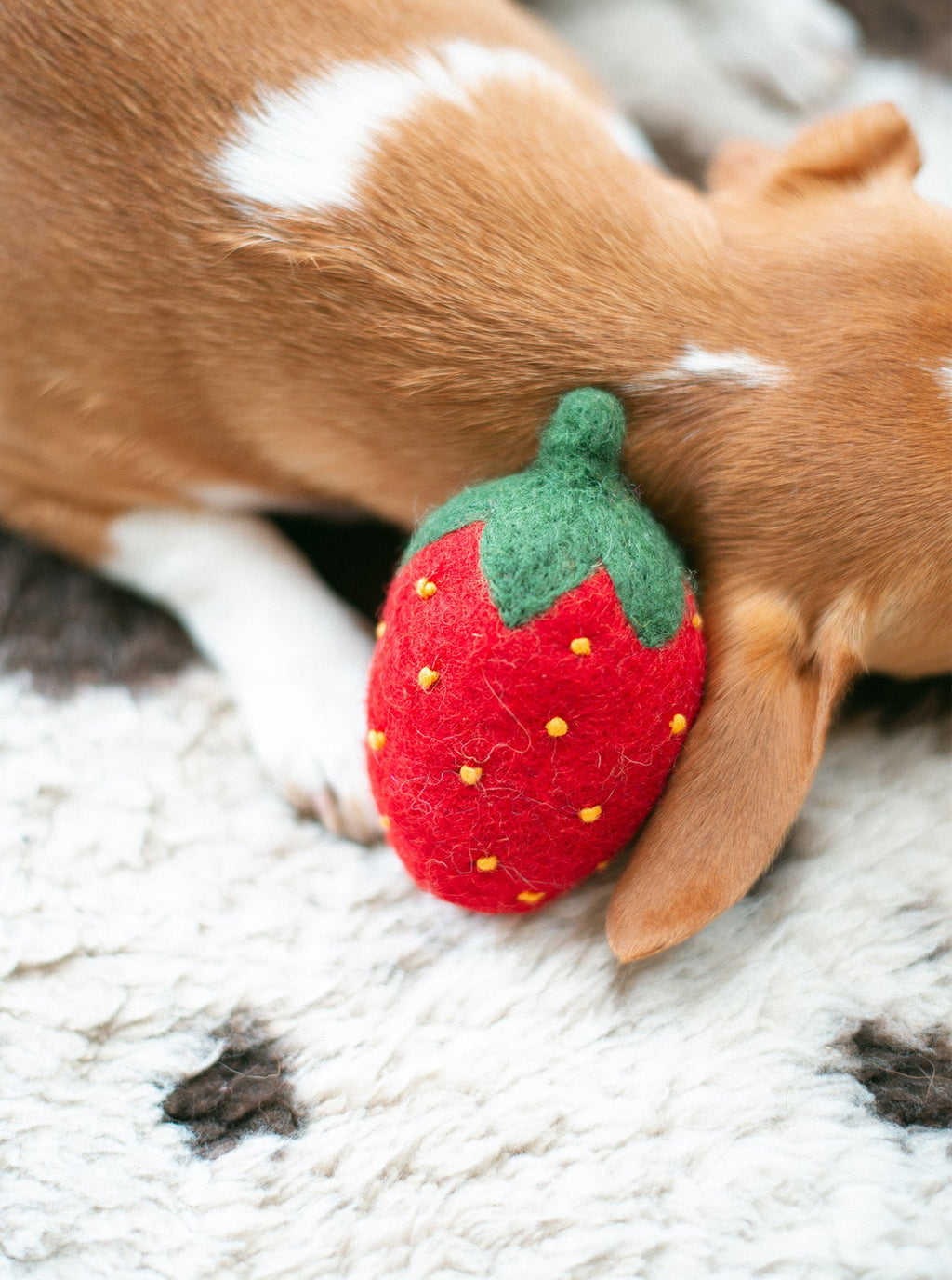 DOGGY STRAWBERRY by MODERNBEAST
