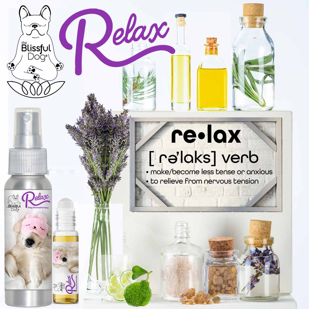 3 Cute Puppies Relax Dog Aromatherapy by The Blissful Dog