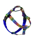 ROY G BIV Freedom No-Pull Dog Harness – EarthStyle by 2 Hounds Design