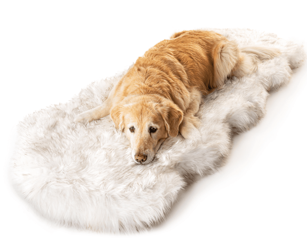 PupRug® Runner Faux Fur Memory Foam Dog Bed - Curve White with Brown Accents by Paw.com
