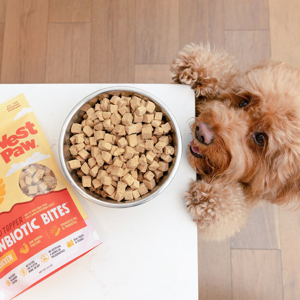 Chicken Dog Food Topper by West Paw