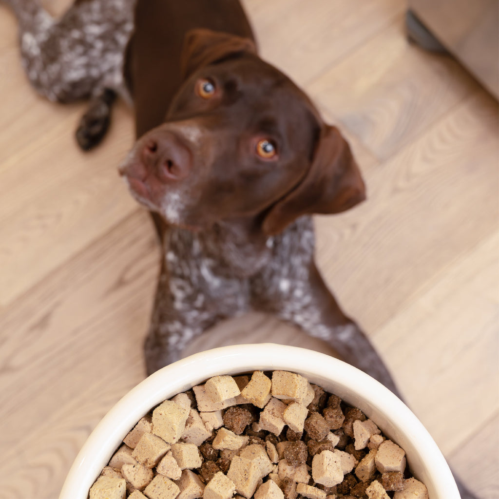 Trout & Beef Dog Food Topper by West Paw
