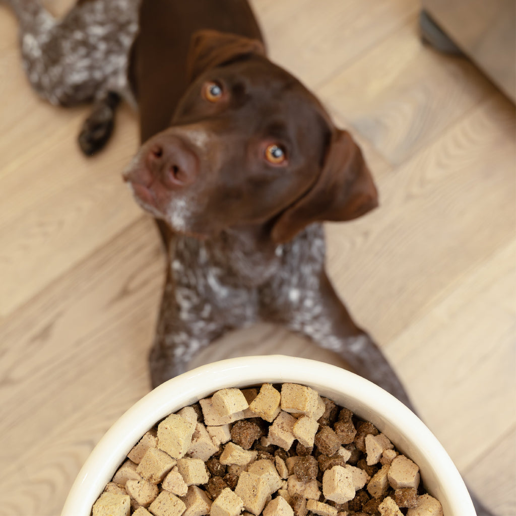 Chicken Dog Food Topper by West Paw
