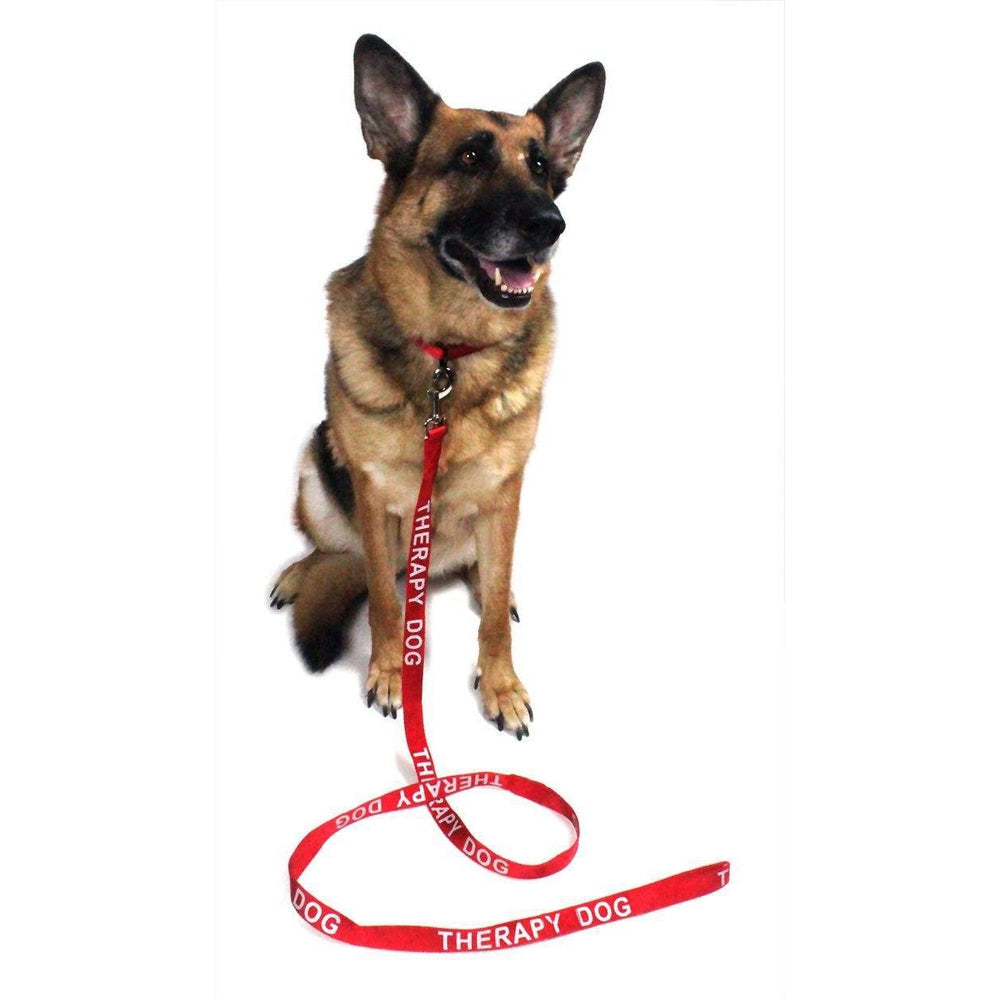 Reflective Nylon Dog Leash by Dogline