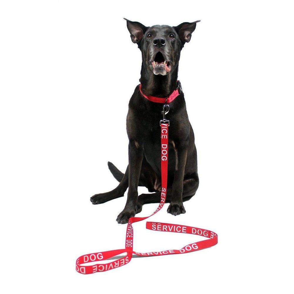 Reflective Nylon Dog Leash by Dogline
