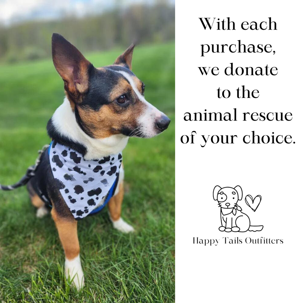 Adopt Me I'm A Foster Tie Dye Dog Bandana New Arrival by Happy Tails Outfitters