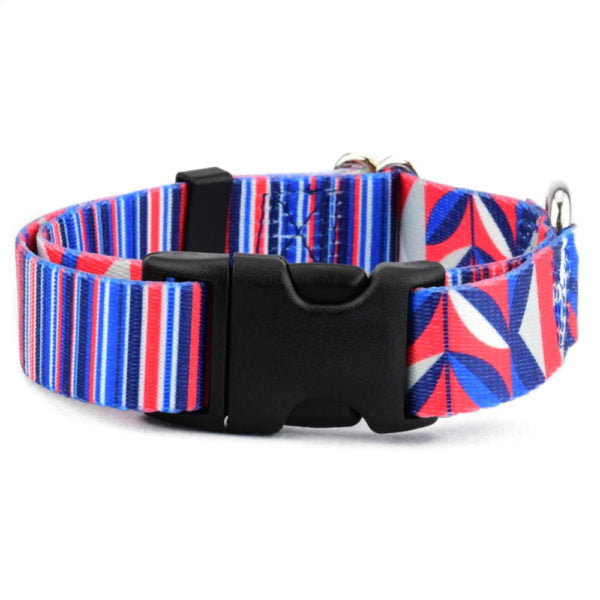 Rocky Dog Collar – EarthStyle by 2 Hounds Design