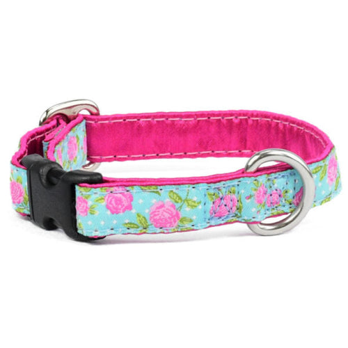 5/8″ Rosy Dots Aqua Dog Collar by 2 Hounds Design