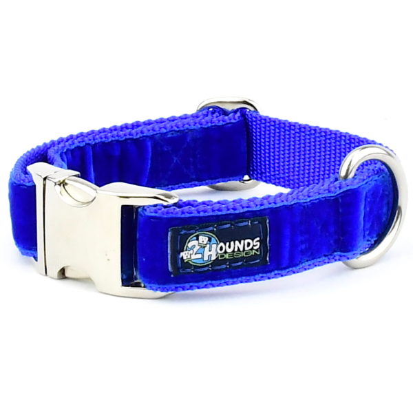 Royal Blue Velvet Essential Dog Collar by 2 Hounds Design