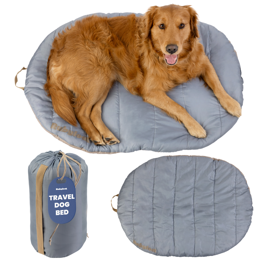 Travel Dog Bed - Foldable & Packable for Travel, Road Trip, Camping by Rubyloo