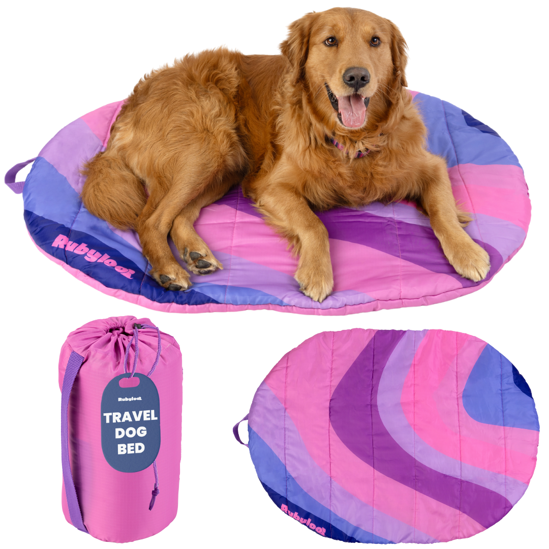Travel Dog Bed - Foldable & Packable for Travel, Road Trip, Camping by Rubyloo
