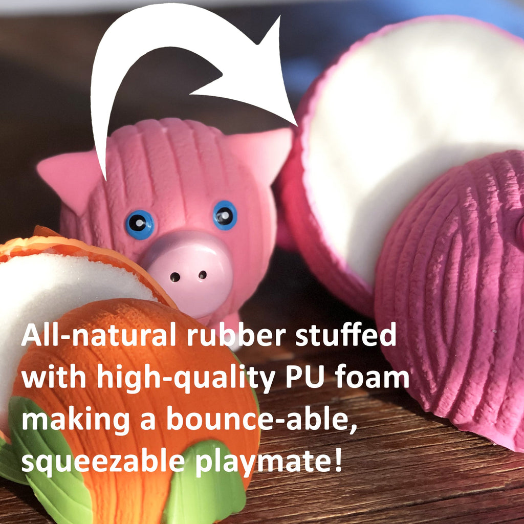 Huggle-Fusion® Dude Turtle Plush & Latex Dog Toy by HuggleHounds