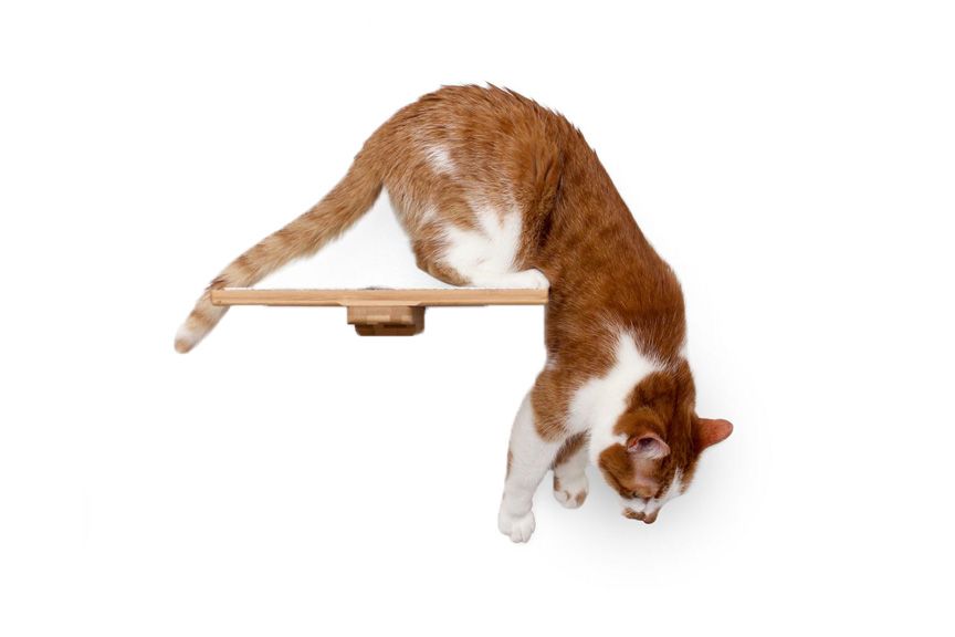 Cat Perch - Wall Mounted and Wooden by Catastrophic Creations