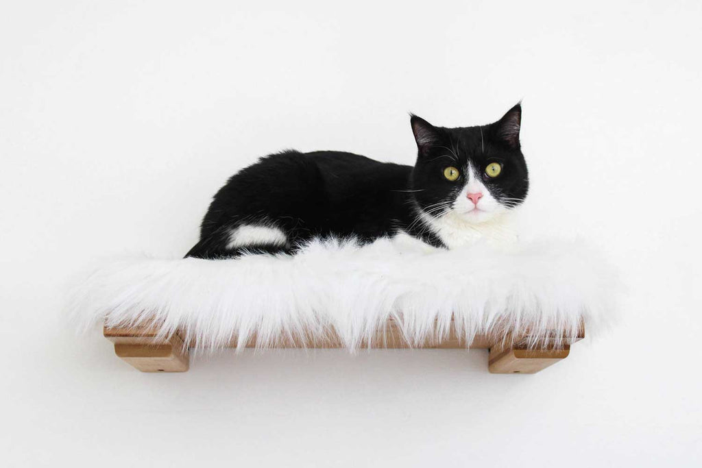 The Cat Nest Bed by Catastrophic Creations