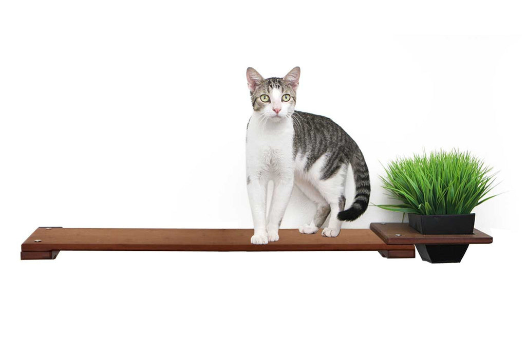 Cat Plant Stand for Wall by Catastrophic Creations
