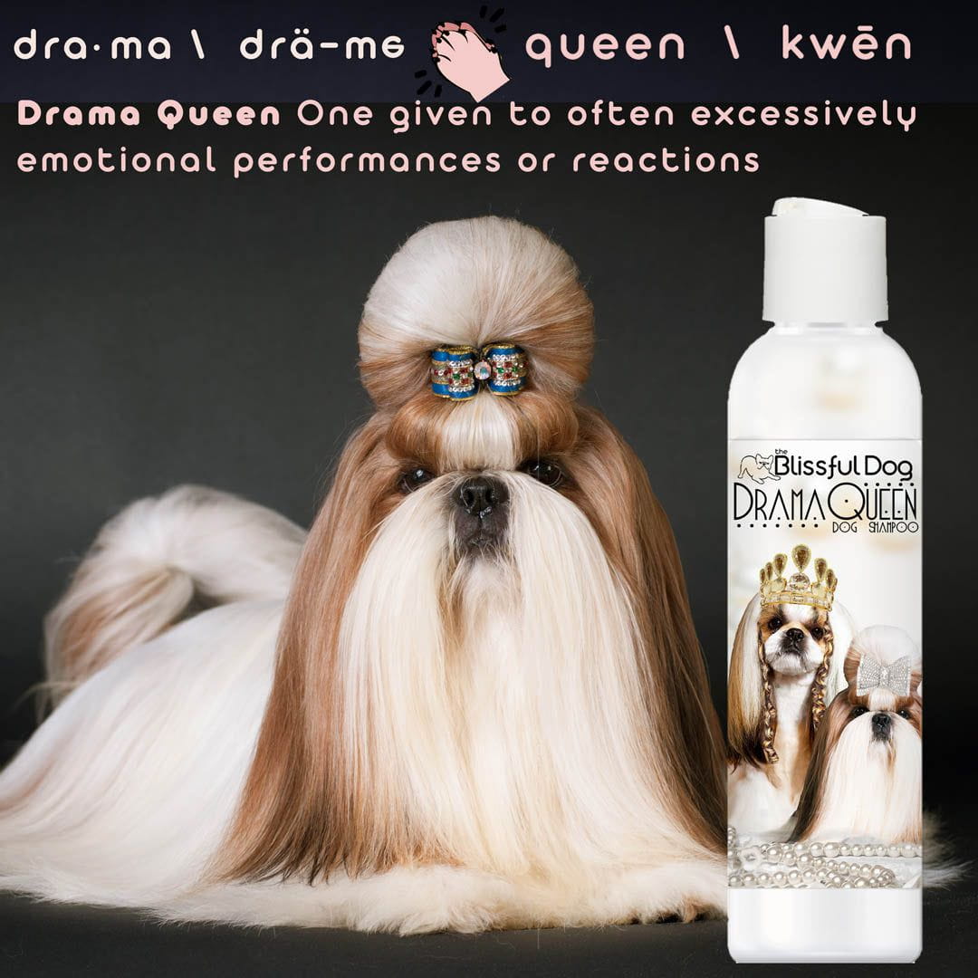 Shih Tzu Rich Bitch & Drama Queen Shampoo by The Blissful Dog