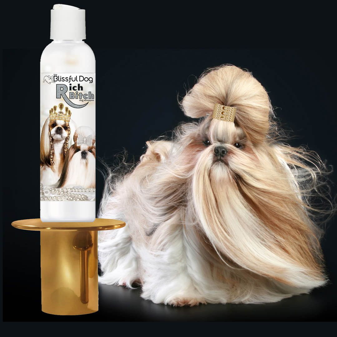 Shih Tzu Rich Bitch & Drama Queen Shampoo by The Blissful Dog