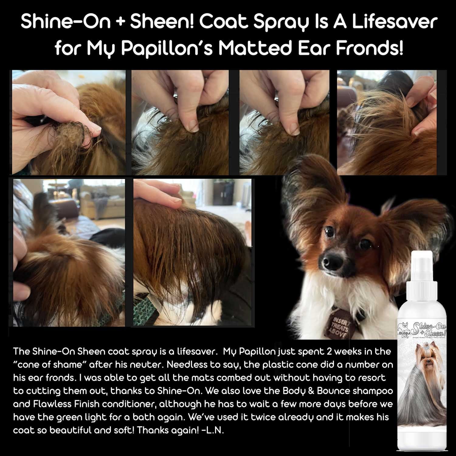 Shine-On+Sheen Dog De-Tangling Coat Spray by The Blissful Dog