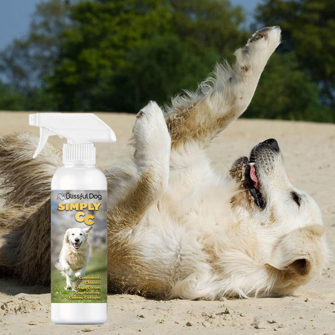 Simply CC Dog Cologne for the Classically Confident Canine by The Blissful Dog