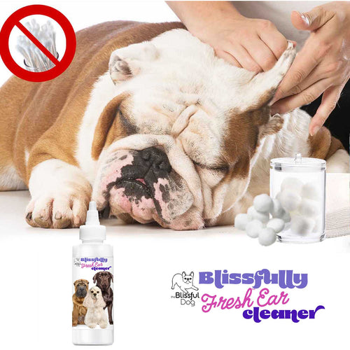Blissfully Fresh™ Dog Ear Cleaner by The Blissful Dog