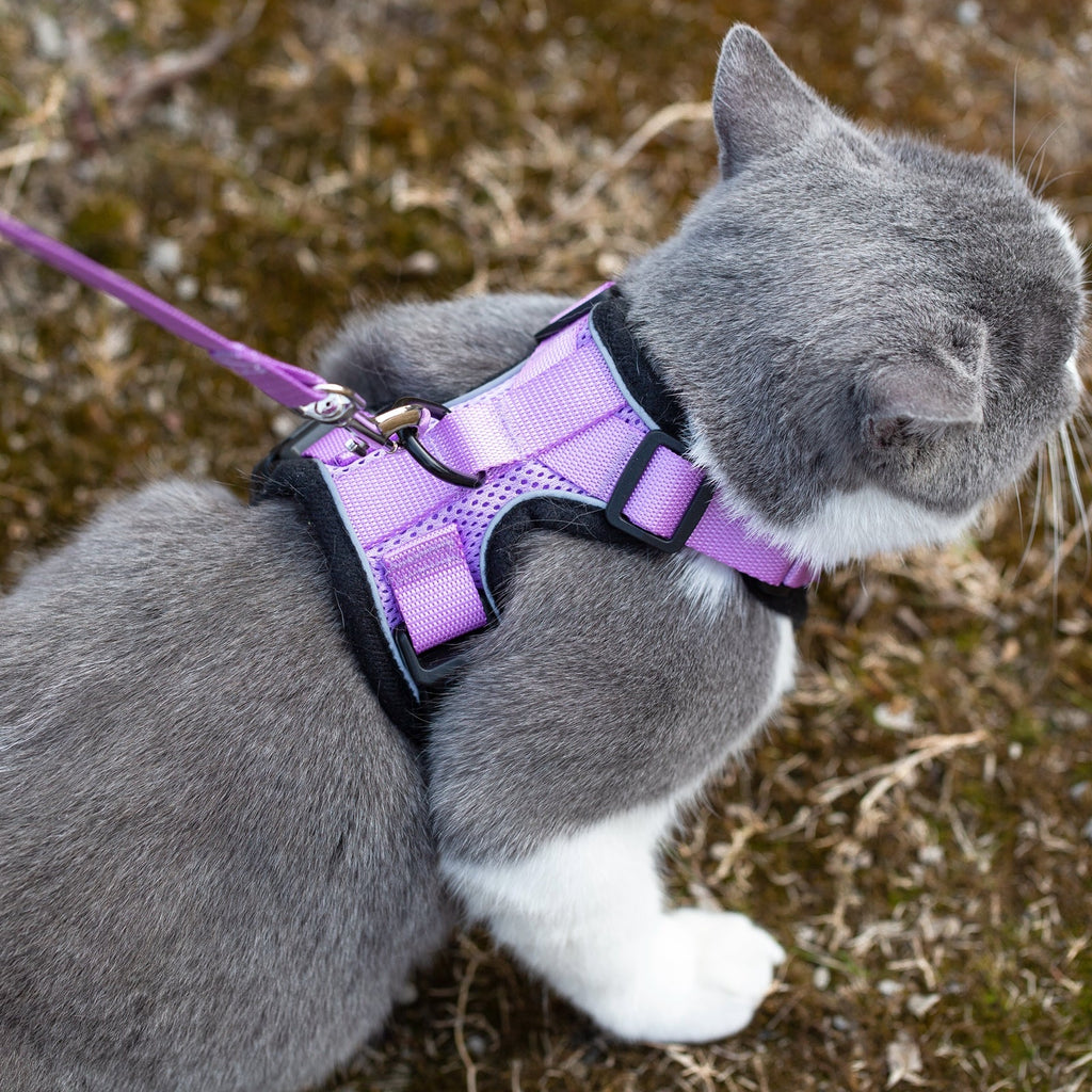 Mr. Peanut's PurrTrek Reflective Cat Harness with Matching Leash by Mr. Peanut's Pet Carriers